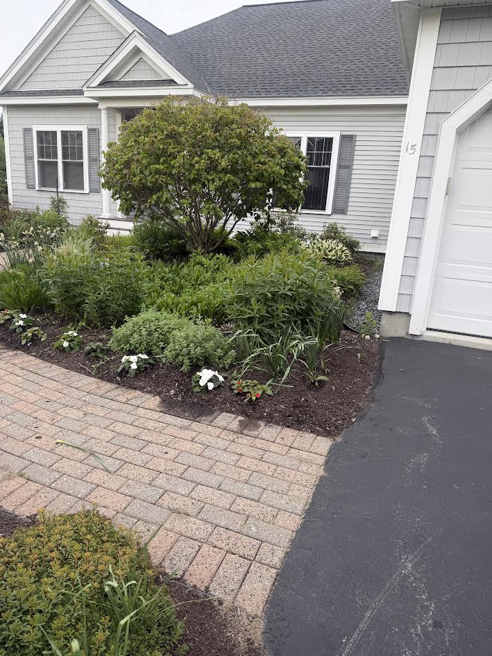 This is our third year caring for this beautiful Bedford garden, and it's always exciting to see it come back to life each spring. Every season, we remove 1 yard of exhausted soil and replace it with 1 yard of fresh garden soil to give the 35 New Guinea Impatiens the rich growing conditions they love.