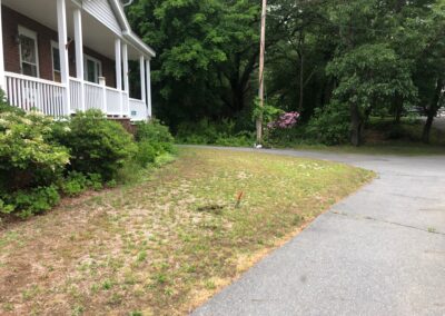 Goodbye Toasted Lawn Hello Color!!