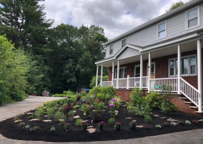 Goodbye Toasted Lawn Hello Color!!