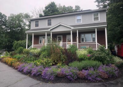 Goodbye Toasted Lawn Hello Color!!