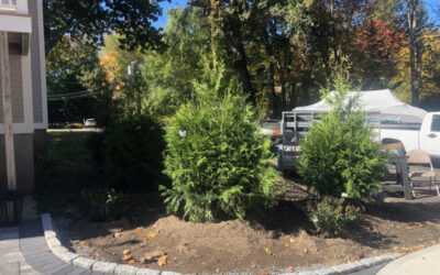 Garden Design and Garden Installation in Dracut, MA.