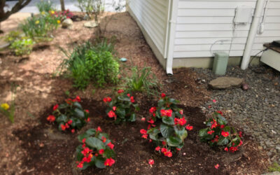 Garden Installation in Merrimack, NH.