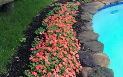 Garden Maintenance in Dunstable, MA.