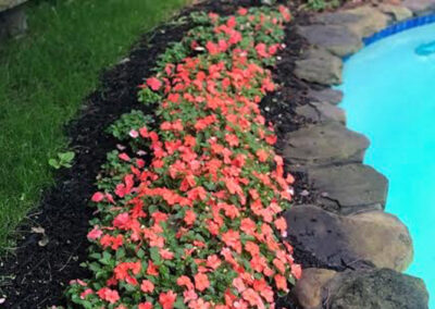Garden Maintenance in Dunstable, MA.