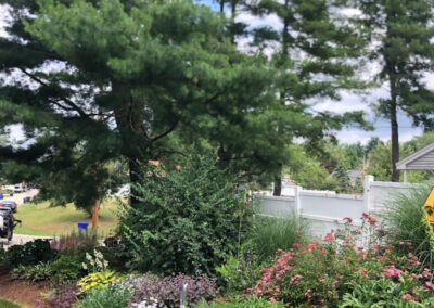 Garden Design in Hudson, NH Progress Report These 1-year-old Hudson, NH sun and shade gardens are looking marvelous!!
