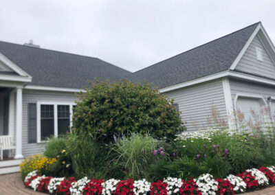 Garden Design in Bedford, NH Status Report The red and white New Guinee’s are blooming away!