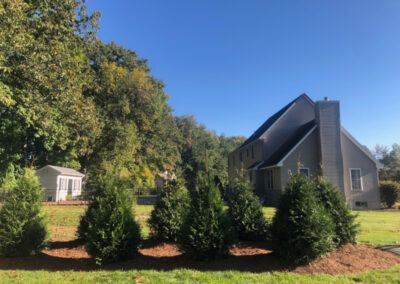 Tree and Shrub Planting in Litchfield, NH.