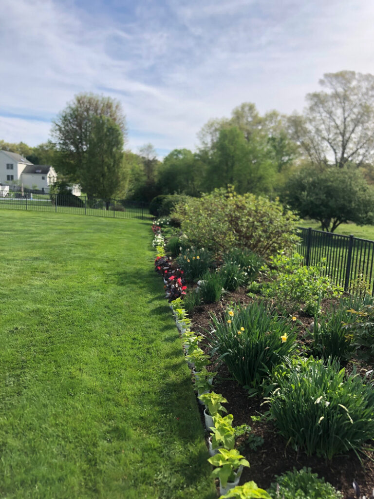 Garden Maintenance and Garden Installation in Westford, MA.