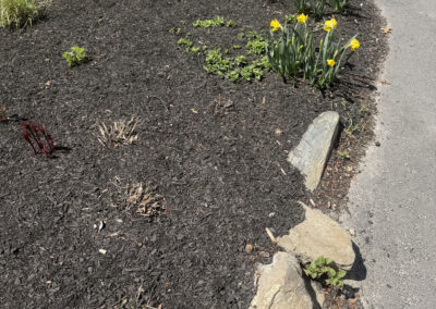 Garden Renovation and Seasonal Enhancements in Hudson, NH.