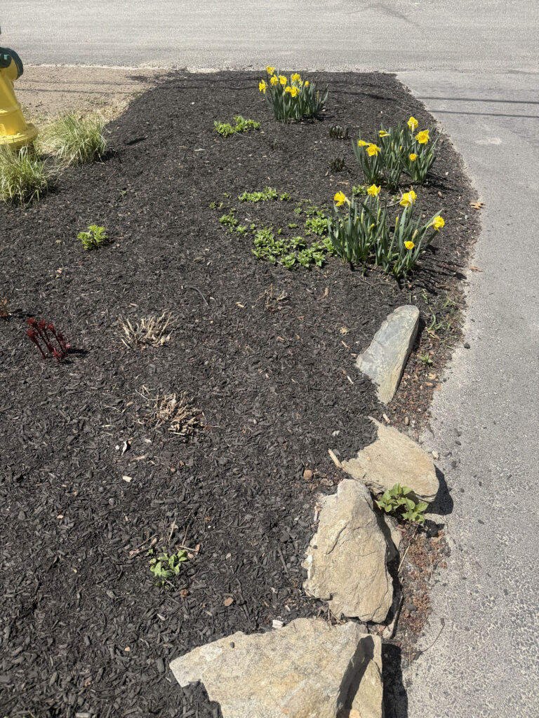 Garden Renovation and Seasonal Enhancements in Hudson, NH.