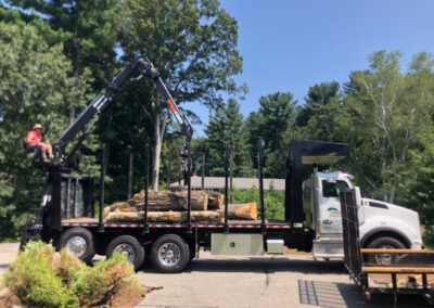 Garden Design and Installation - Andover, MA On a blistering hot morning, we removed 6 boxwoods and planted 7 hydrangeas. After 3 hours of driving to three nurseries, the best sizes and blooming styles were selected. With temperatures rising, deep watering and mulching are key to help them thrive. Excited for the stunning results ahead! Greenleaf’s Garden Design specializes in Garden Design, Maintenance, and Installation within 45 miles of Tyngsboro MA.