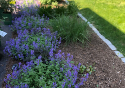 Garden Maintenance in Groton, MA.