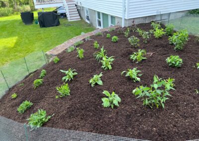 Garden Design and Garden Installation in Westford, MA.