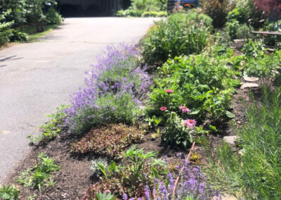 Garden Installation in Dracut, MA Progress Report