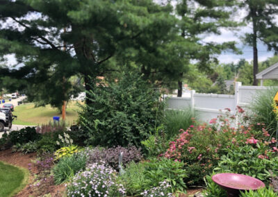 These 1-year-old Hudson, NH sun and shade gardens are looking marvelous!!