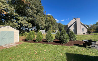 Tree and Shrub Planting in Litchfield, NH.