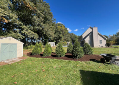 Tree and Shrub Planting in Litchfield, NH.