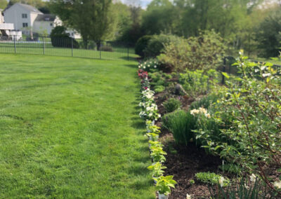 Garden Maintenance and Garden Installation in Westford, MA.