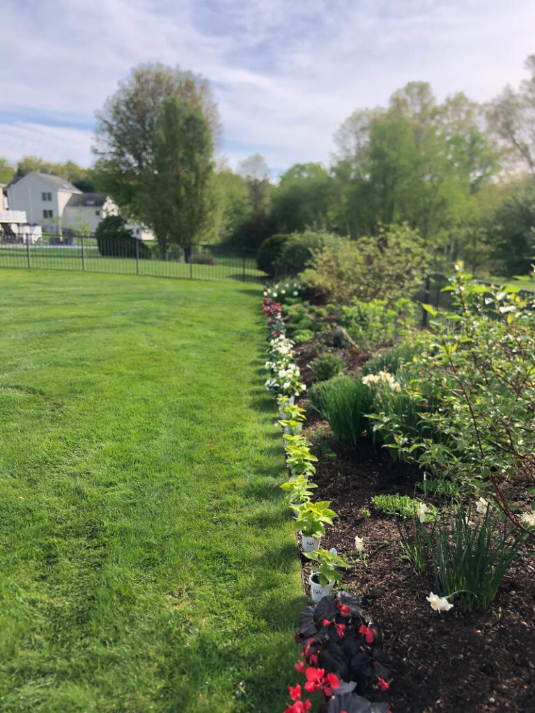 Garden Maintenance and Garden Installation in Westford, MA.