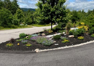 The upper gardens were started in 2019, and the Rock Garden in May of 2024. These 2,500 square foot gardens are the talk of the neighborhood!
