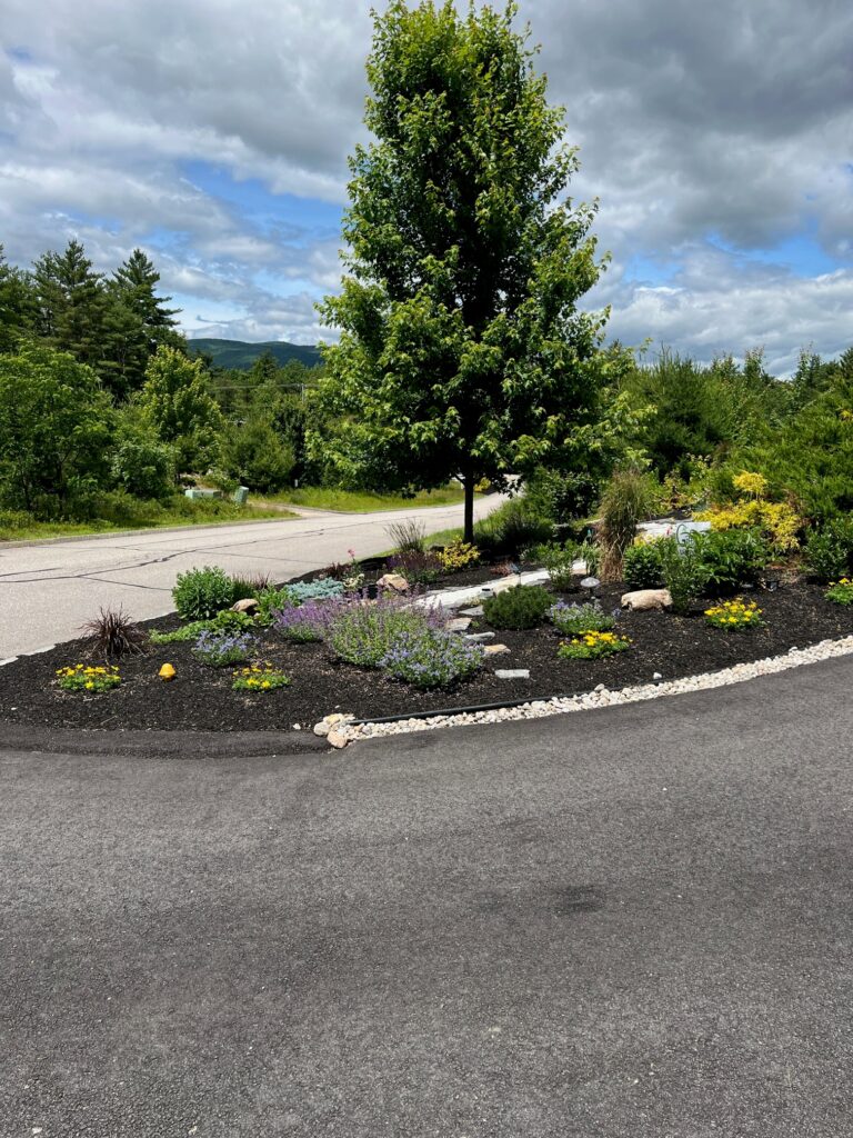 The upper gardens were started in 2019, and the Rock Garden in May of 2024. These 2,500 square foot gardens are the talk of the neighborhood!