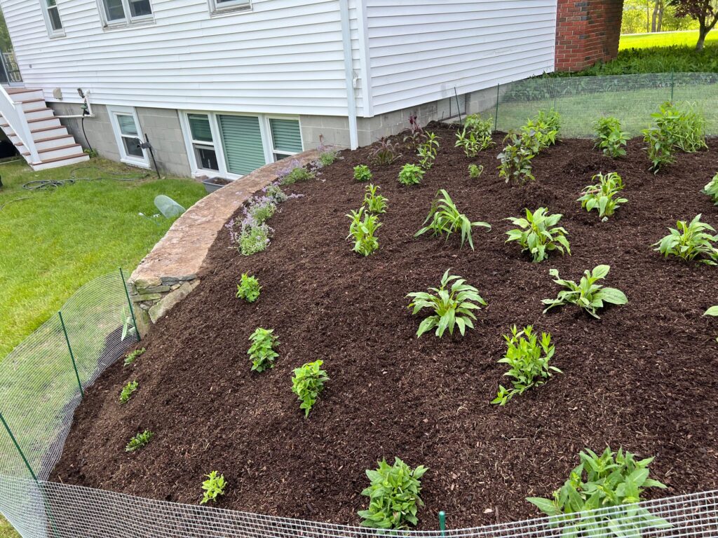 Garden Design and Garden Installation in Westford, MA.