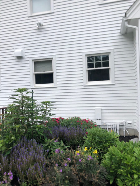 Garden Installation in Amherst, NH Progress Report We returned to visit this one-year-old Purple Amherst, NH Garden and the results are good!