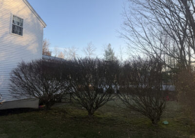 Greenleaf’s Garden Design — creating clean lines, healthy plants, and happy clients.