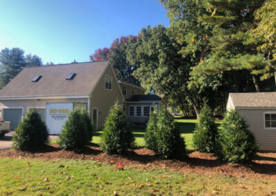 Tree and Shrub Planting in Litchfield, NH.