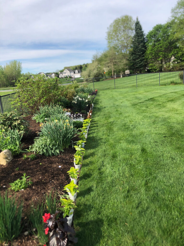 Garden Maintenance and Garden Installation in Westford, MA.