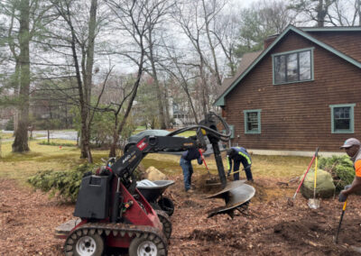 🌿 Shrub Installation in Concord, MA