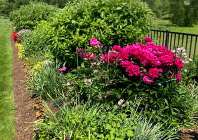 Spring Garden Maintenance in Westford, MA.