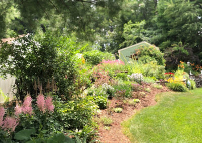 These 1-year-old Hudson, NH sun and shade gardens are looking marvelous!!