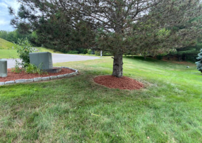 In 1 day in Nashua, NH, our crew tackled weeding and spread 3 yards of mulch, transforming the landscape! Have questions about your garden redesign or need plant recommendations? Drop us a message or give us a call and let Greenleaf’s Garden Design get your garden blooming!