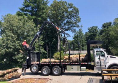 Garden Design and Installation - Andover, MA On a blistering hot morning, we removed 6 boxwoods and planted 7 hydrangeas. After 3 hours of driving to three nurseries, the best sizes and blooming styles were selected. With temperatures rising, deep watering and mulching are key to help them thrive. Excited for the stunning results ahead! Greenleaf’s Garden Design specializes in Garden Design, Maintenance, and Installation within 45 miles of Tyngsboro MA.