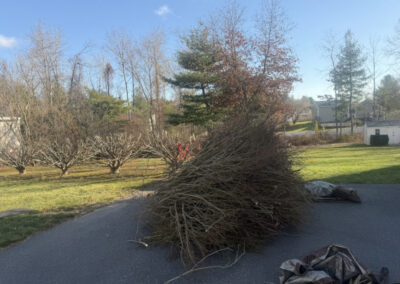 Greenleaf’s Garden Design — creating clean lines, healthy plants, and happy clients.