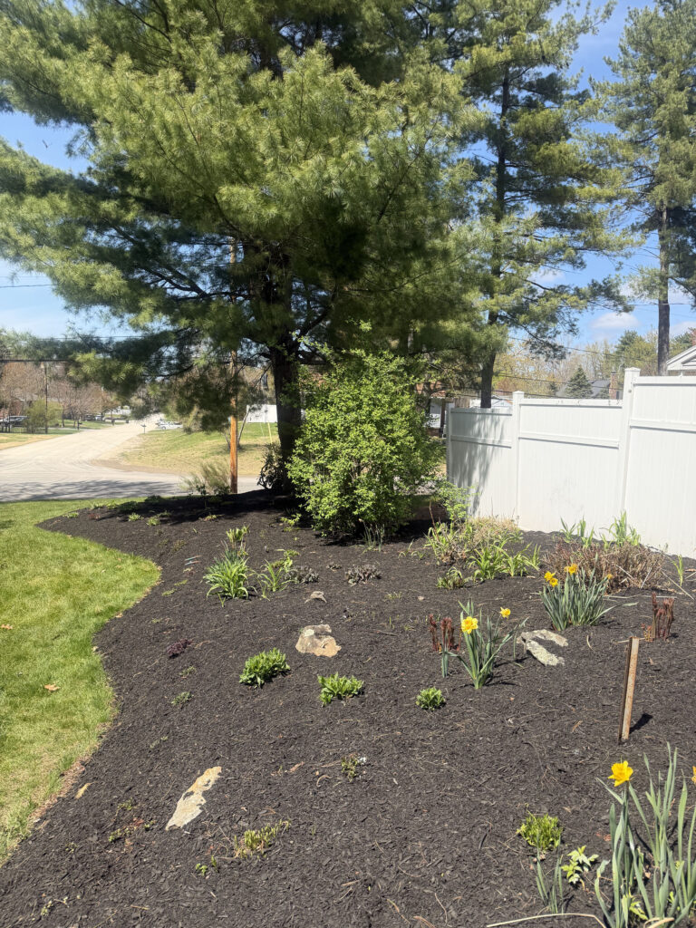 Garden Renovation and Seasonal Enhancements in Hudson, NH.