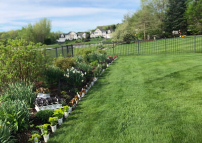 Garden Maintenance and Garden Installation in Westford, MA.