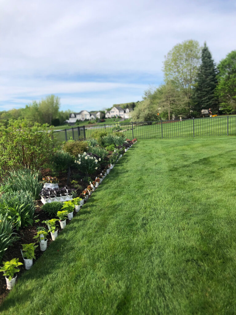 Garden Maintenance and Garden Installation in Westford, MA.