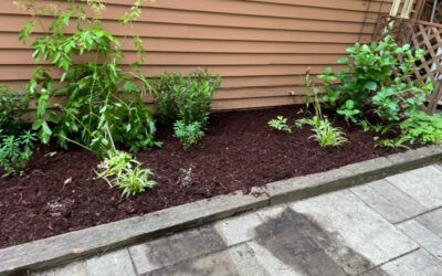 Shade Garden Design in Merrimack, NH.