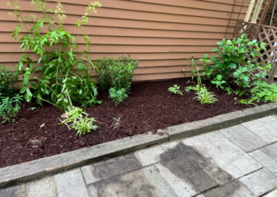 Shade Garden Design in Merrimack, NH.