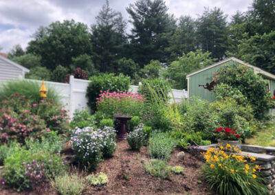 These 1-year-old Hudson, NH sun and shade gardens are looking marvelous!!