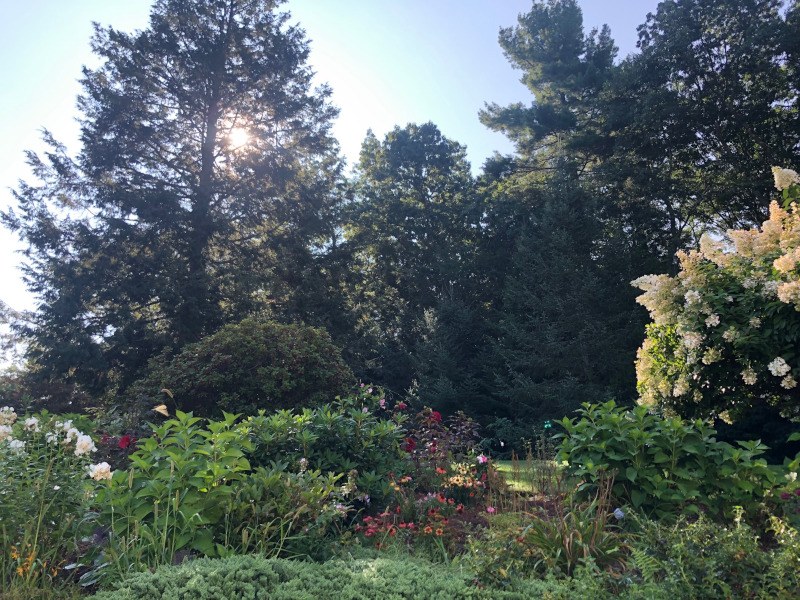 Garden Maintenance in Tyngsboro, MA.