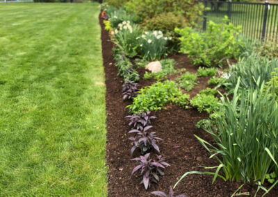 Garden Maintenance and Garden Installation in Westford, MA.