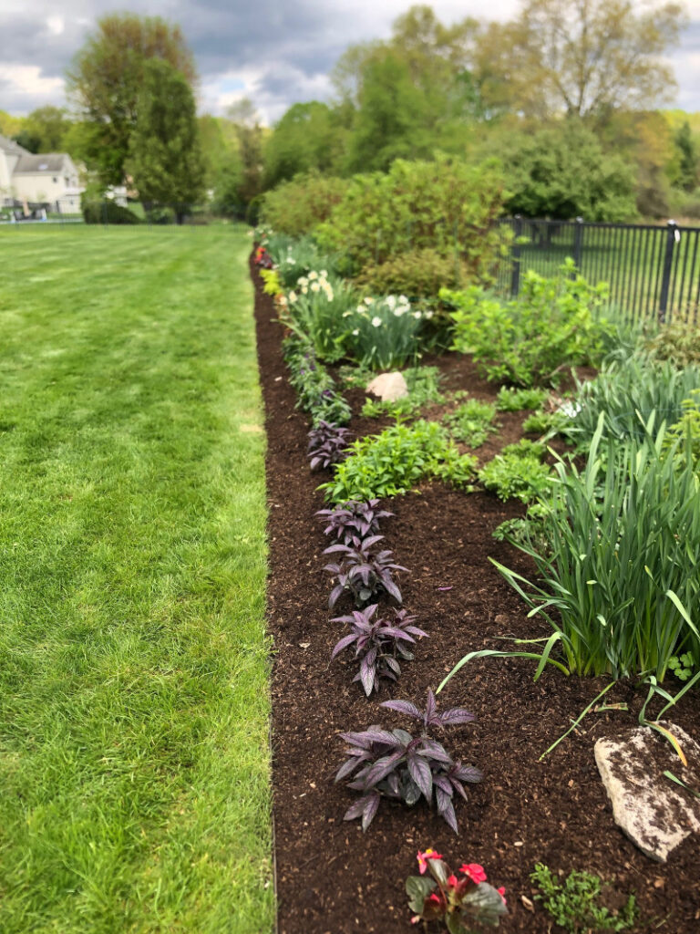 Garden Maintenance and Garden Installation in Westford, MA.