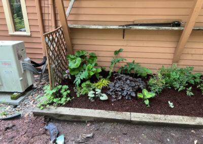 Shade Garden Design in Merrimack, NH.