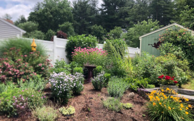 Garden Design in Hudson, NH Progress Report