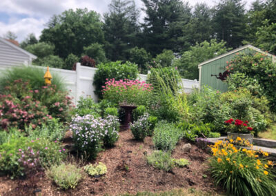 These 1-year-old Hudson, NH sun and shade gardens are looking marvelous!!
