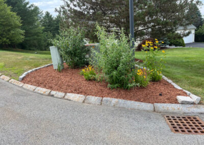 In 1 day in Nashua, NH, our crew tackled weeding and spread 3 yards of mulch, transforming the landscape! Have questions about your garden redesign or need plant recommendations? Drop us a message or give us a call and let Greenleaf’s Garden Design get your garden blooming!