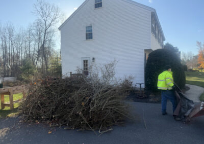 Greenleaf’s Garden Design — creating clean lines, healthy plants, and happy clients.